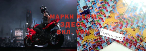 хмурый Краснослободск